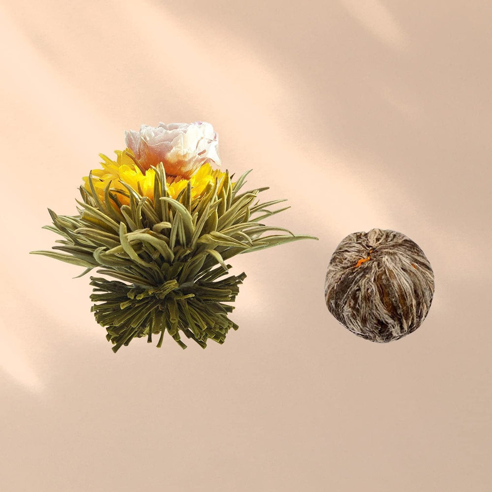 Boîte mixte élégante de 6 pièces Feelino - Fleurs de thé blanc Feelino dans une magnifique boîte de dégustation et cadeau avec 6 roses de thé blanc différentes, emballées individuellement sous vide, paquet de 1 pièce