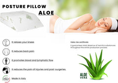 Oreiller Repose-Pieds Amovible par Literie Italienne, Aloe, 61X50X17Cm Naty Shop Oreillers Standard