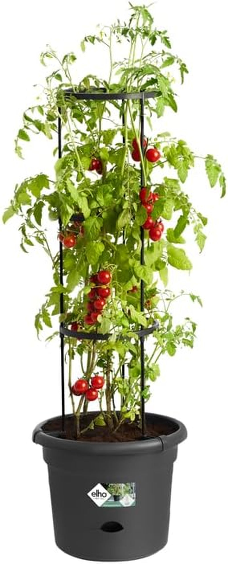 elho Green Basics Tomato pots 33 - Pots de fleurs pour la culture et la récolte en extérieur - Ø 33,5 x H 26,0 cm - Noir/Noir vif
