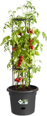 elho Green Basics Tomato pots 33 - Pots de fleurs pour la culture et la récolte en extérieur - Ø 33,5 x H 26,0 cm - Noir/Noir vif