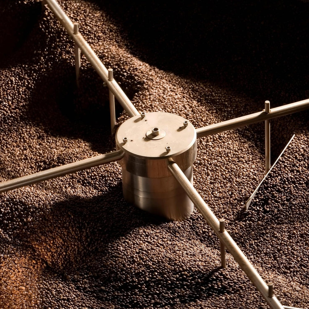 NIK CAFE' – Mélange Classico – grains de café torréfiés. Son Excellence, le robuste. 100% robuste