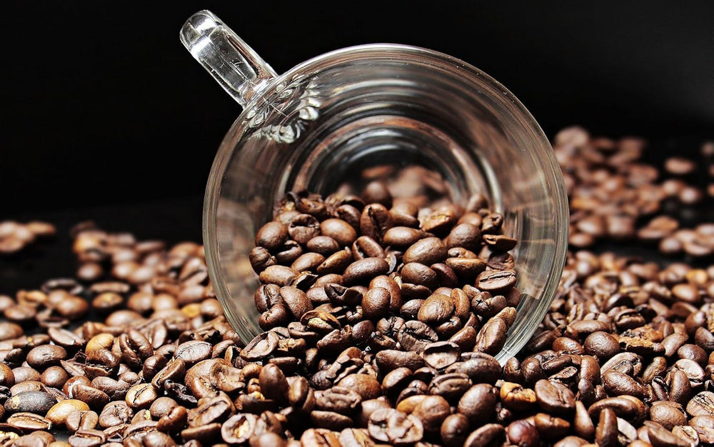 Specialitate de cafea din America Centrală: Cafeaua Honduras - O specialitate caraibiană (1000 de grame, boabe întregi) - Cafea de origine unică - Cafea premium - Aciditate scăzută - Prăjită ușor și proaspăt