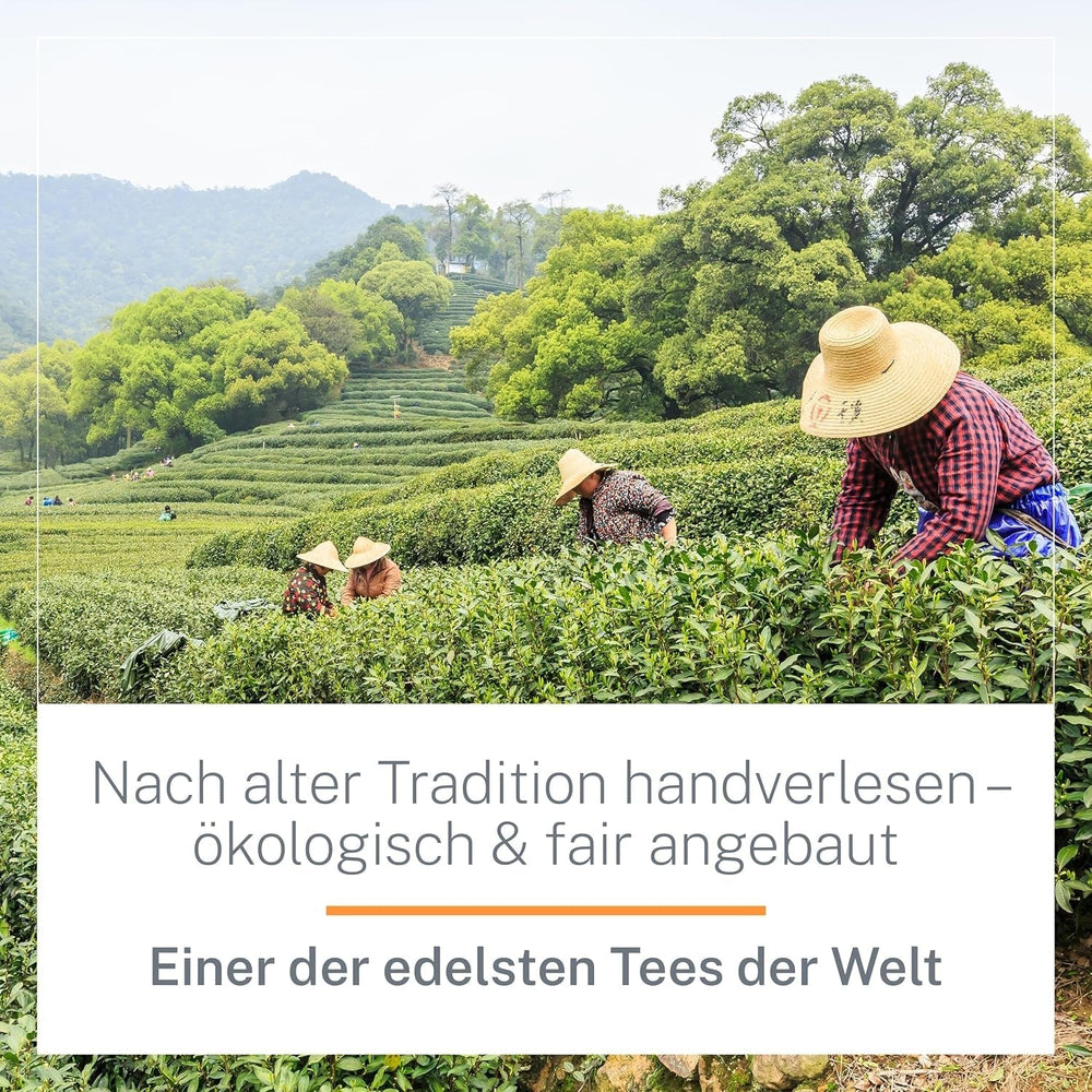 Ceai Oolong Ti Guan Yin Bio 100 g - Ceai Oolong de înaltă calitate, din China, de calitate bio - Wu Long (grad ceremonial) - Pentru iubitorii și cunoscătorii de ceai - Mycupoftea