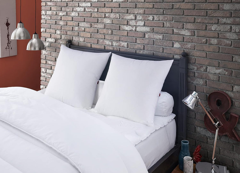 Oreiller Anti-Acariens et Punaises de Lit 60 X 60 cm Confort Moyen Oreiller Multi Protect Doux et Protecteur Lavable en Machine à 40°C Naty Shop Oreillers Standard Titre par Défaut