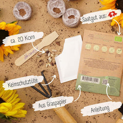 Graines de tournesol biologiques, ramifiées, 20 graines de tournesol à taux de germination élevé, graines de tournesol pour le jardin, le balcon, le parterre de fleurs ou comme cadeau d'invités. Graines de fleurs pollinisées gratuites.