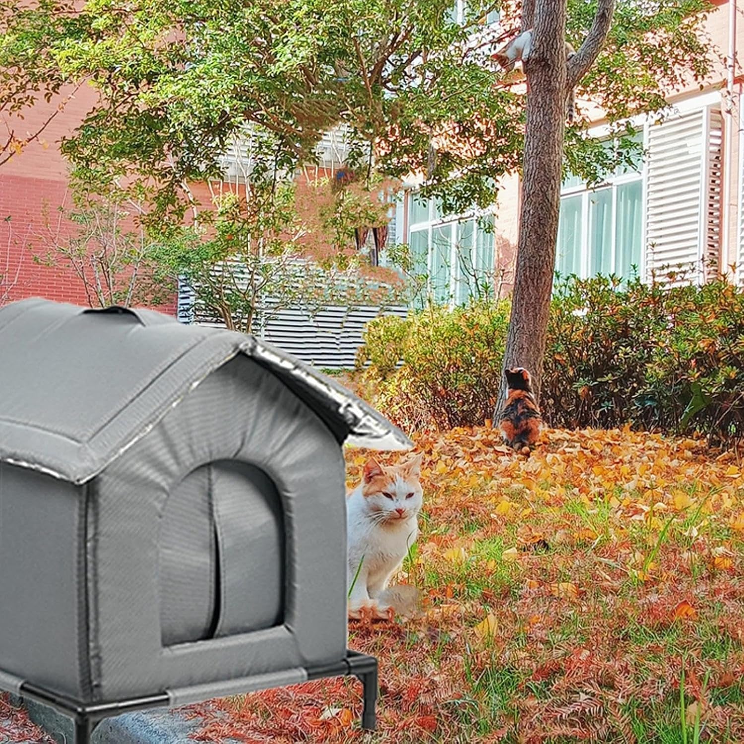 Couvertures et meubles, Animaux, Grottes et maisons, Chats, Lits pour chats, Chats - lits, matelas