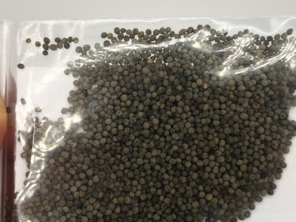 1000 graines de pavot de Californie (Eschscholzia californica), prairie de fleurs sauvages, pâturage d'abeilles.