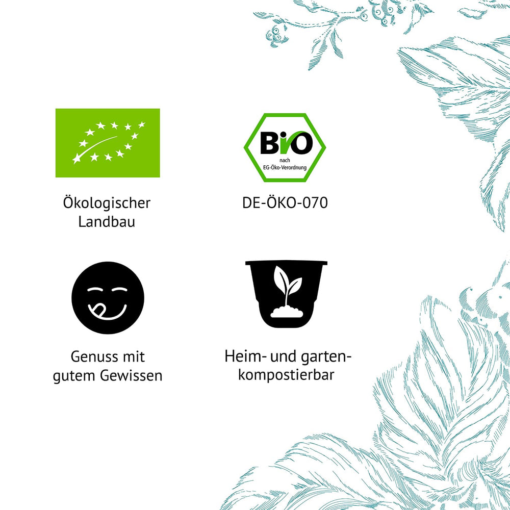 Décaféiné Bio N HC