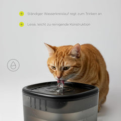 Feast Automatische Futterautomat Katze mit App and Kamera, Live-Video mit Nachtsicht und Zwei-Wege-Audio, Portionskontrolle, Edelstahl-Napf, Katzen Trinkbrunnen mit Filter, 4,5 l et 2,5 l