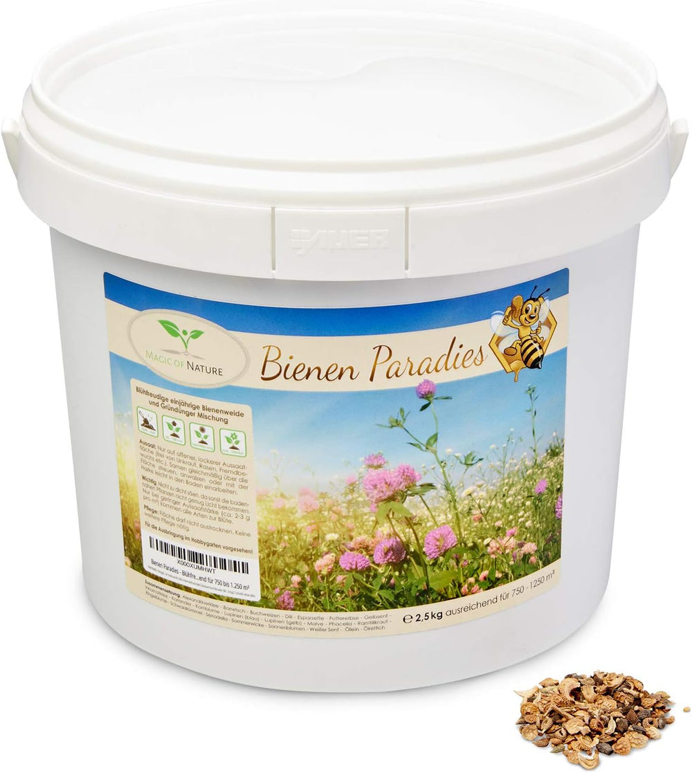 Mélange de graines de fleurs Magic of Nature - Bee Paradise - 1 kg - Facile à utiliser - Apiculture fleurie - Conseils de semis - Pour 300 à 500 m²