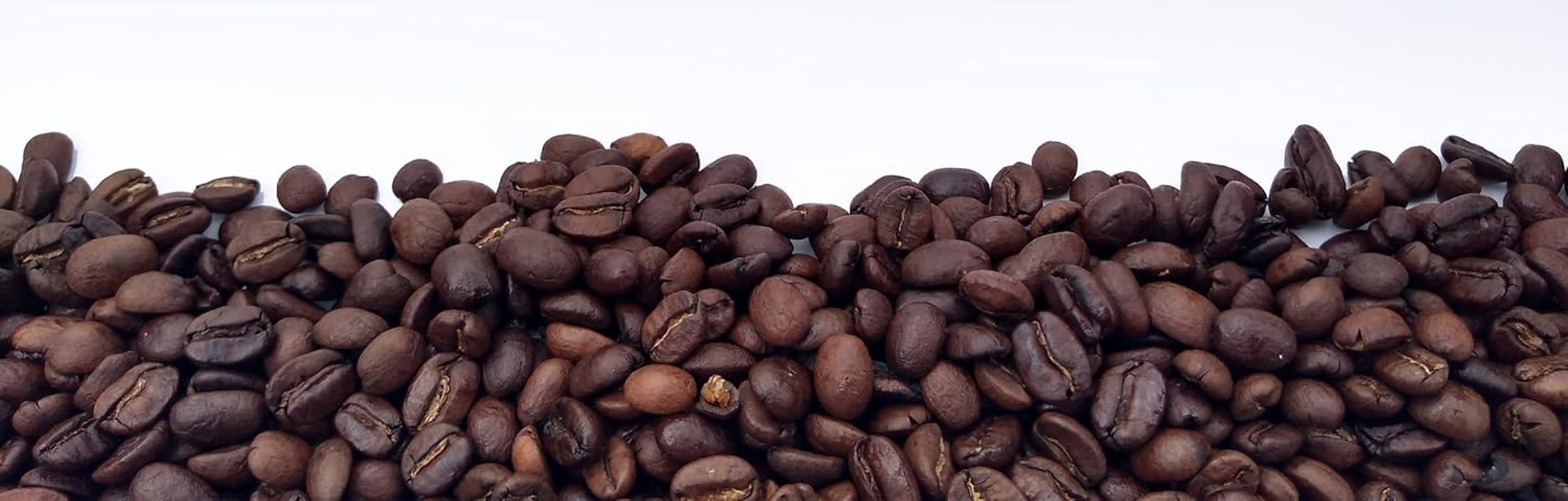 Café Arabica mexicain Procurador 1000g