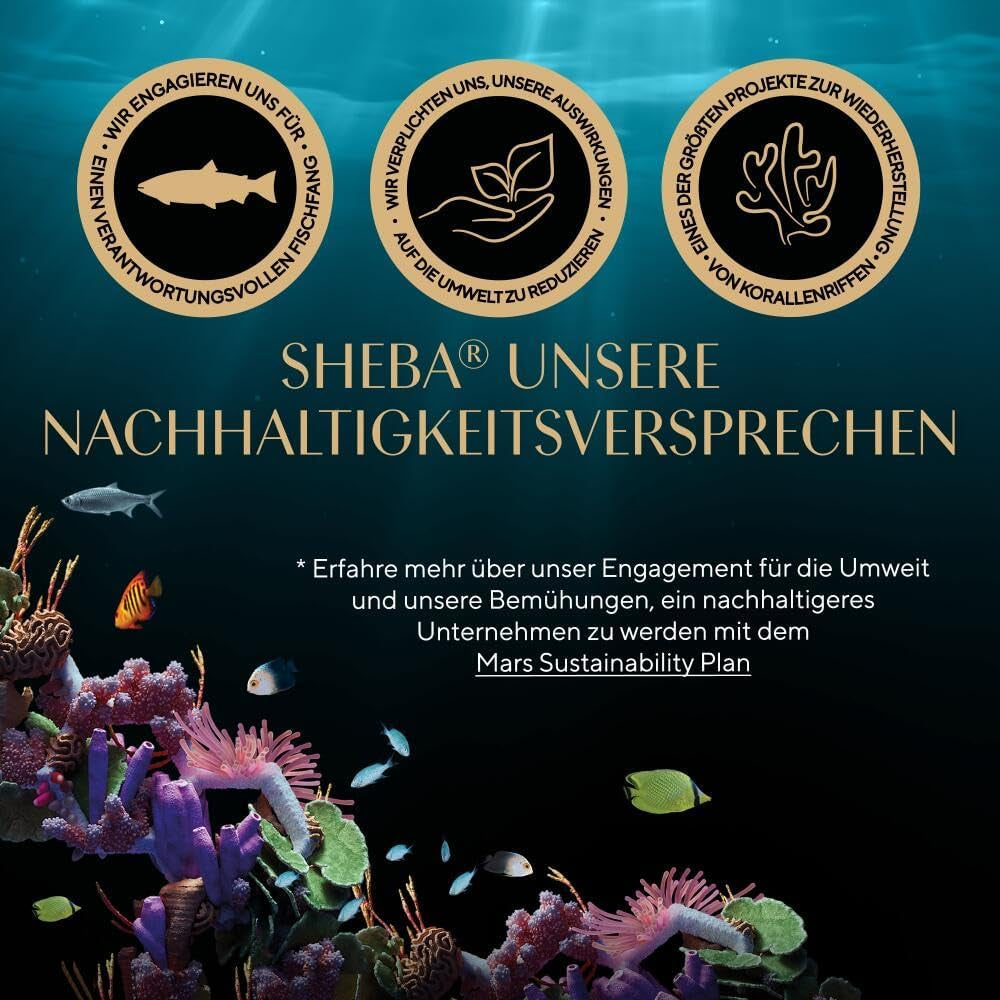 Sheba CATCARE Sachet Wet Fresh & FINE (Poisson) Morceaux en sauce Adulte 50g Multipack Standard