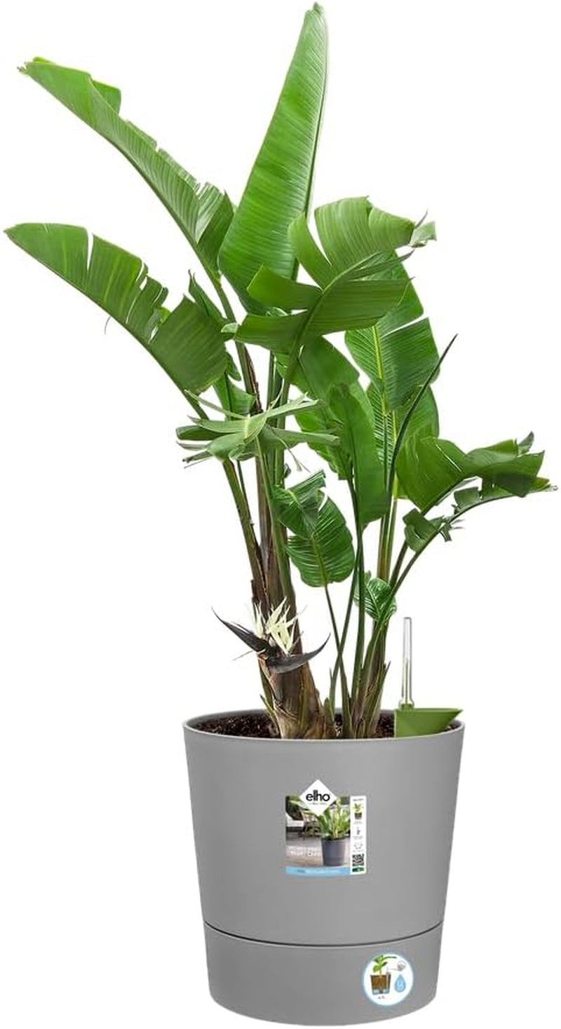 Ghiveci elho Greensense Aqua Care Round 35 cu rezervor de apă integrat - pentru interior și exterior - 100% plastic reciclat - Ø 34,5 x H 34,1 cm - Gri/Beton deschis