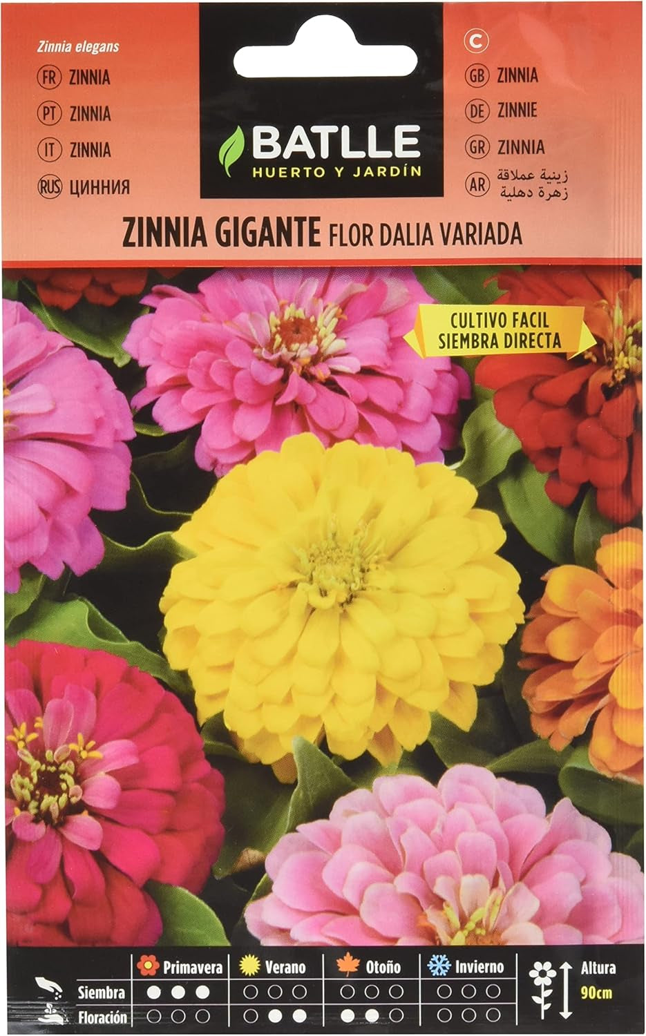 Batlle Zinnie Dalhien Blooming