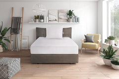 Oreiller en duvet confort Traumnacht avec garnissage en duvet de haute qualité et housse non pelucheuse en 100% coton, certifié Oeko-Tex, 80 X 80 cm, produit selon la norme de qualité allemande Oreillers standard Naty Shop