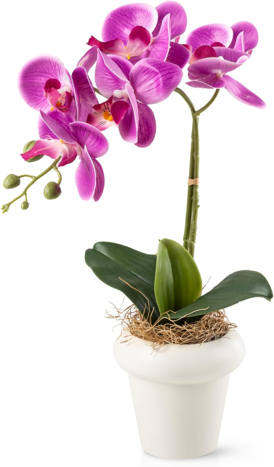 PASCH® Begonie Im Hochglanz-Keramiktopf | Kunstblumen Im Topf | Künstliche Blumen Wie Echt | Fake Blumen | Kunstblumen Wie Echt (Japanische Begonie, 3 Stück, 16Cm)