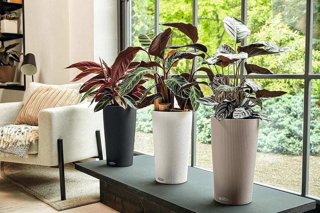 Ghiveci Lechuza 13950, Alb, 32x32x56 cm