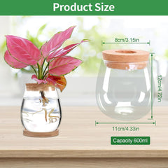 Station de culture de plantes hydroponiques 12x11 cm Vase de graines d'avocat Jardinière en verre Vase en verre hydroponique pour plantes aquatiques ou fleurs Décor de table de bureau 2 pièces