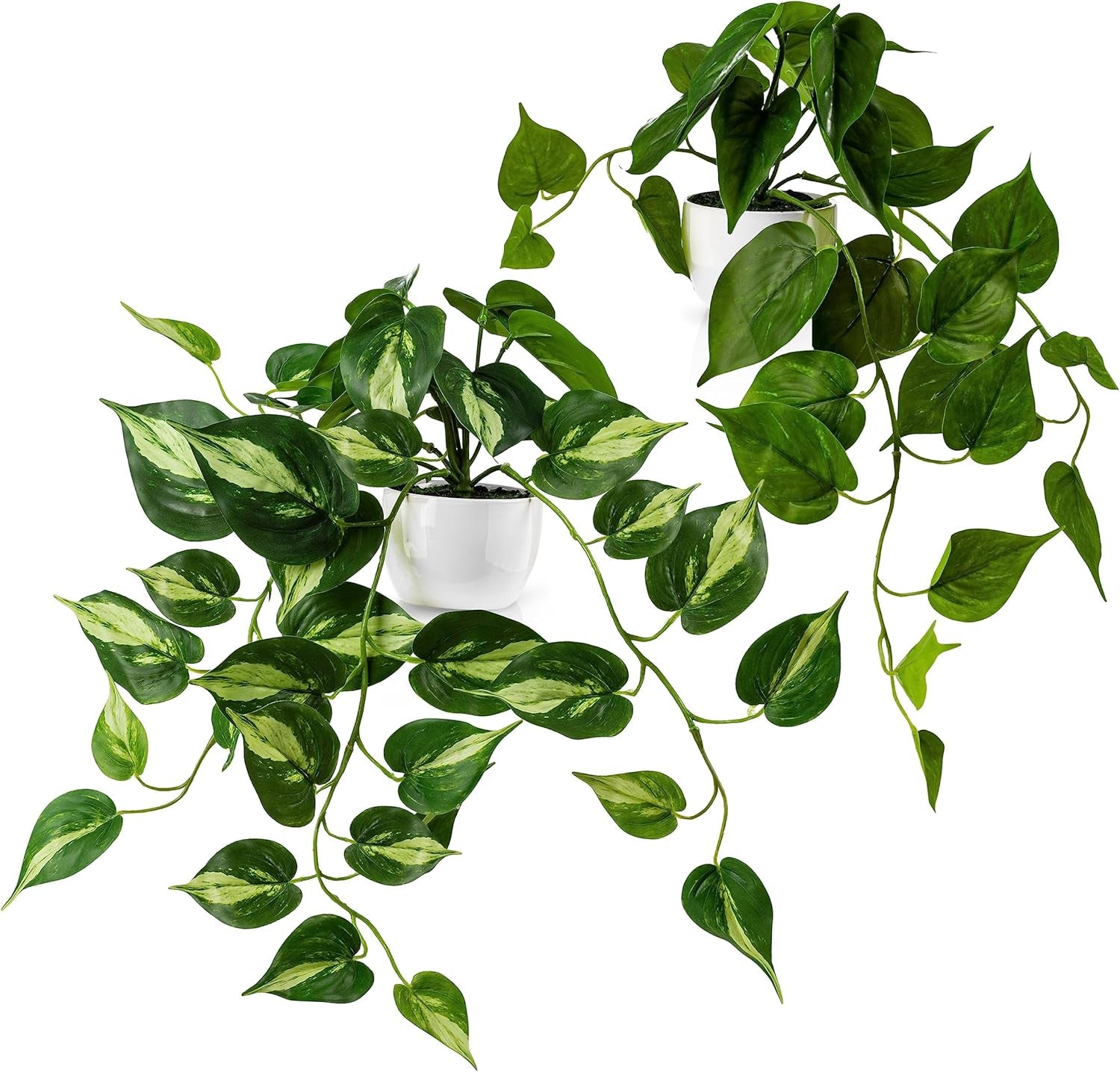 PASCH® 3Er Set Monstera Künstlich (20Cm) in Weißen Keramiktöpfen: Künstliche Pflanzen Wie Echt | Monstera Pflanze Künstlich | Kunstpflanze Hängend Im Topf | Hängepflanze Künstlich Abgestimmt