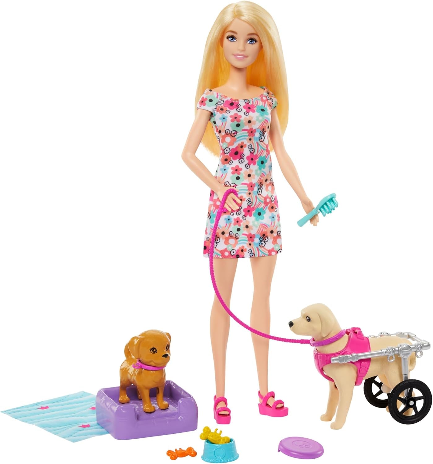 Barbie Dog Duo Poupée et accessoires, y compris chiot et grand chien avec fauteuil roulant, laisse, bol de nourriture, lit pour animal de compagnie et récompenses en os, pour 3 ans et plus, HTK37