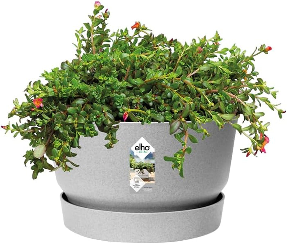 elho Greenville Bowl 33 - Ghiveci de flori pentru exterior - 100% plastic reciclat - Ø 32,5 x H 19,4 cm - Gri/Beton viu