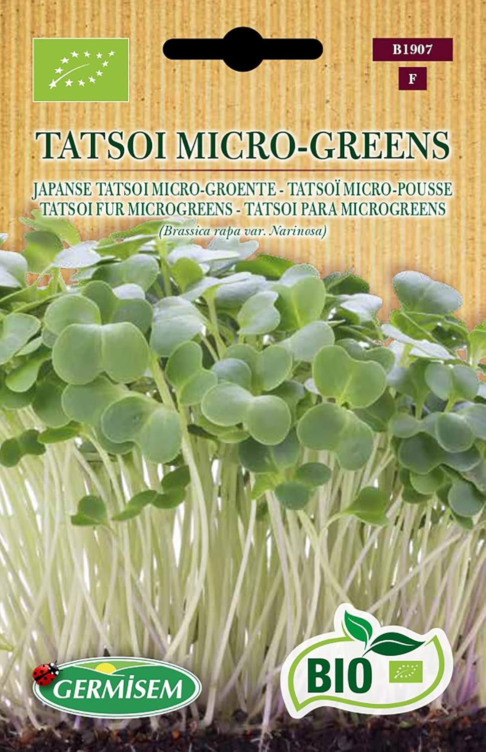 Tatsoi Fur Microgreens TATSOI MICRO-GREENS, ECBIO1907