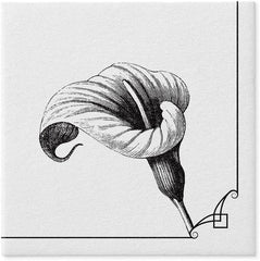 PAW - Serviettes Airlaid - En Tissu (40 X 40 Cm) I 50 Pièces I Pour Service Funéraire, Fête Funéraire, Funérailles, Adieu I Serviettes en Tissu de Décoration de Table de Haute Qualité - Fleur de Mémoire I Fleur de Mémoire