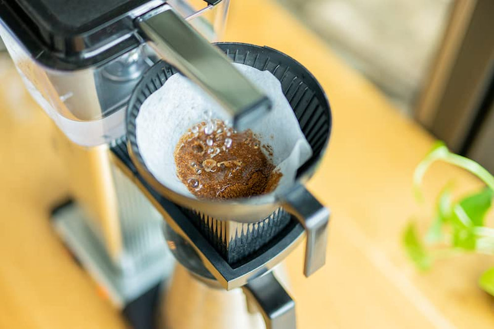 Filtre de floraison printanière | 250 g de céréales complètes | équitable et durable | fraîchement frit | café en grains 100% Arabica | café spécial | 19 grammes de café torréfacteur…