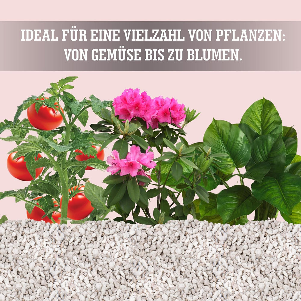 LERAVA® Perlite pour Plantes (5L) – Perlite à gros grains pour l'amélioration des sols – Assure un drainage et une aération optimaux – Additif naturel pour sols et culture hydroponique – Granulés pour plantes