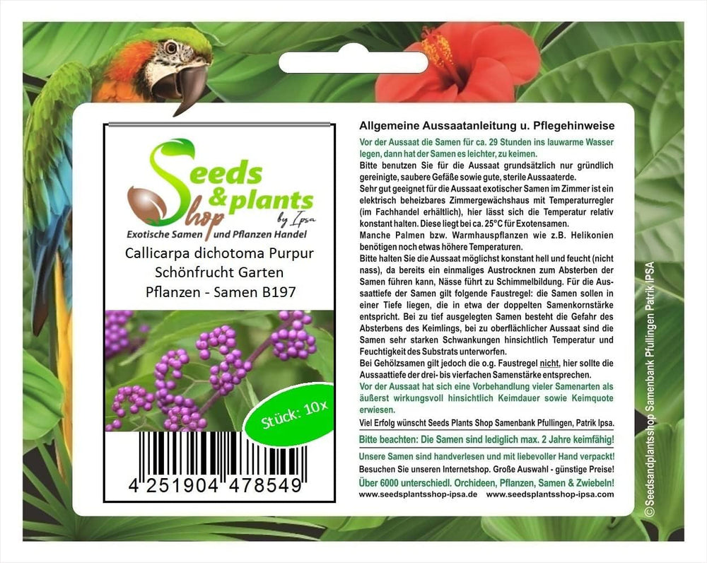 Stk - 10X Callicarpa Dichotoma Purpur Schönfrucht Garten Pflanzen - Samen B197 -