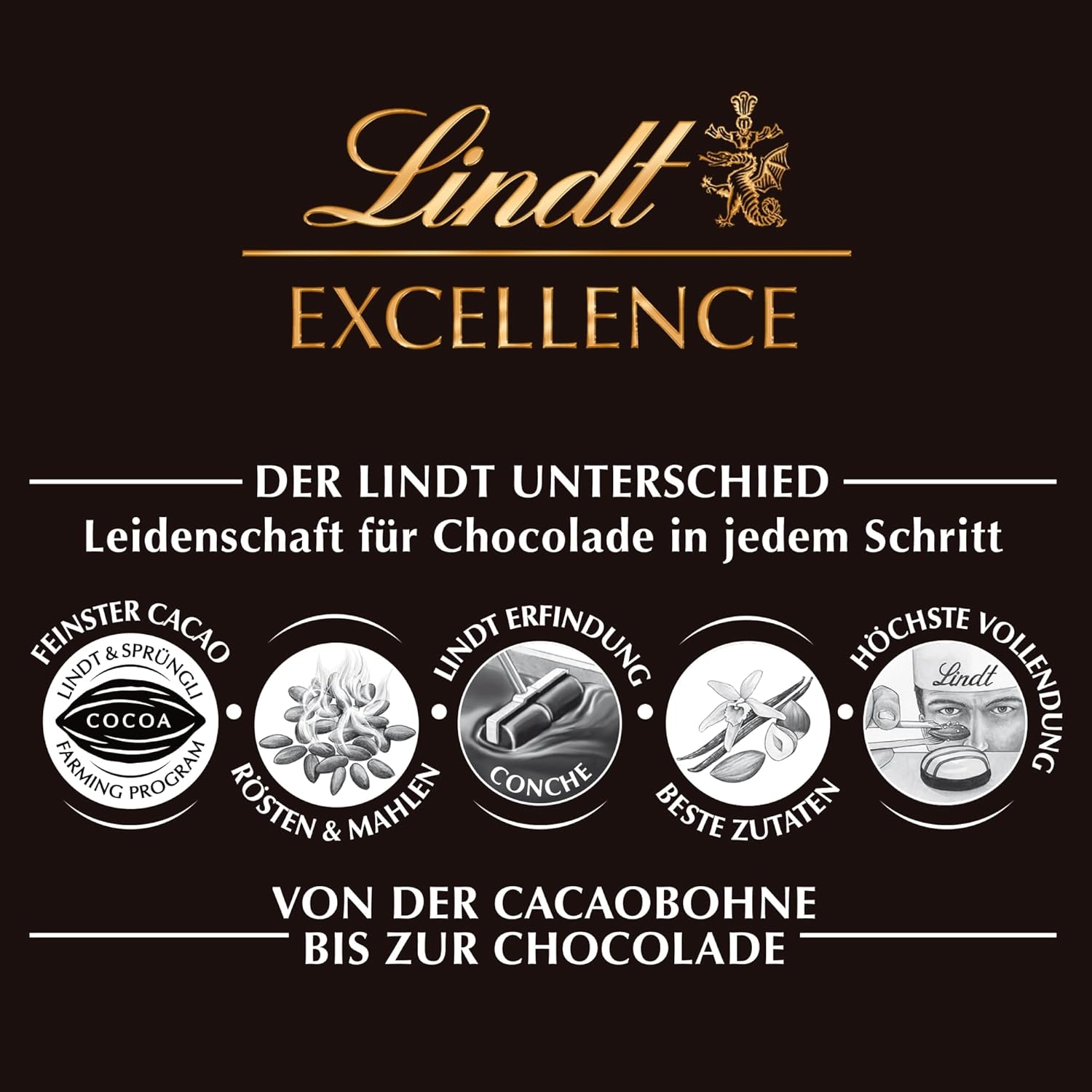 Lindt Excellence Bois Salé Doux - Barre de Chocolat Noir 100g - Goût Intense de Cacao