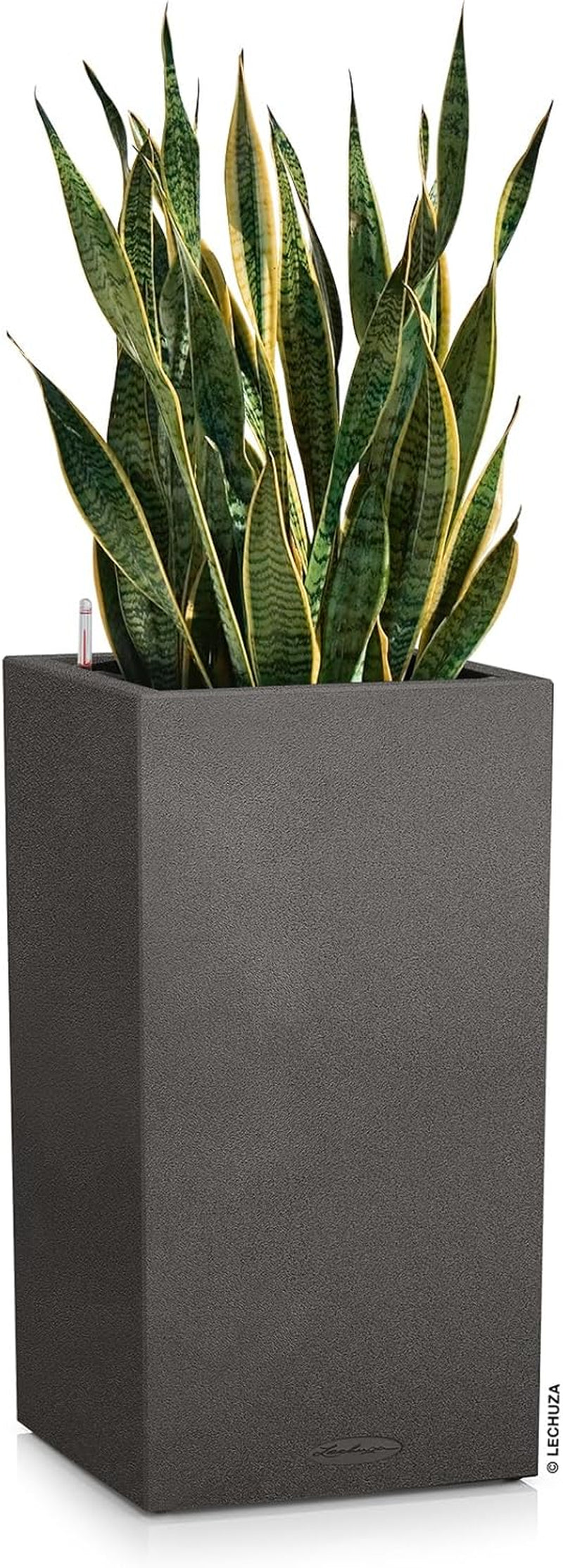 CANTO Jardinière en pierre 30 haut, Noir graphite, Plastique de haute qualité, Système d'arrosage inclus, Insert de plantation amovible, Pour intérieur et extérieur, 13602, 30x30x56 cm