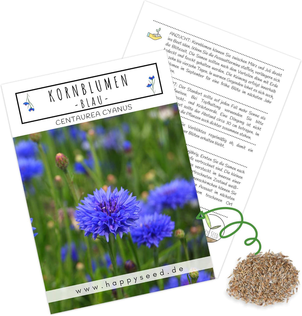 Graines de Centaurea cyanus - Fleurs magnifiques et vibrantes avec une longue période de floraison pour une prairie fleurie colorée (Mélange, 1000 graines, 80 cm)