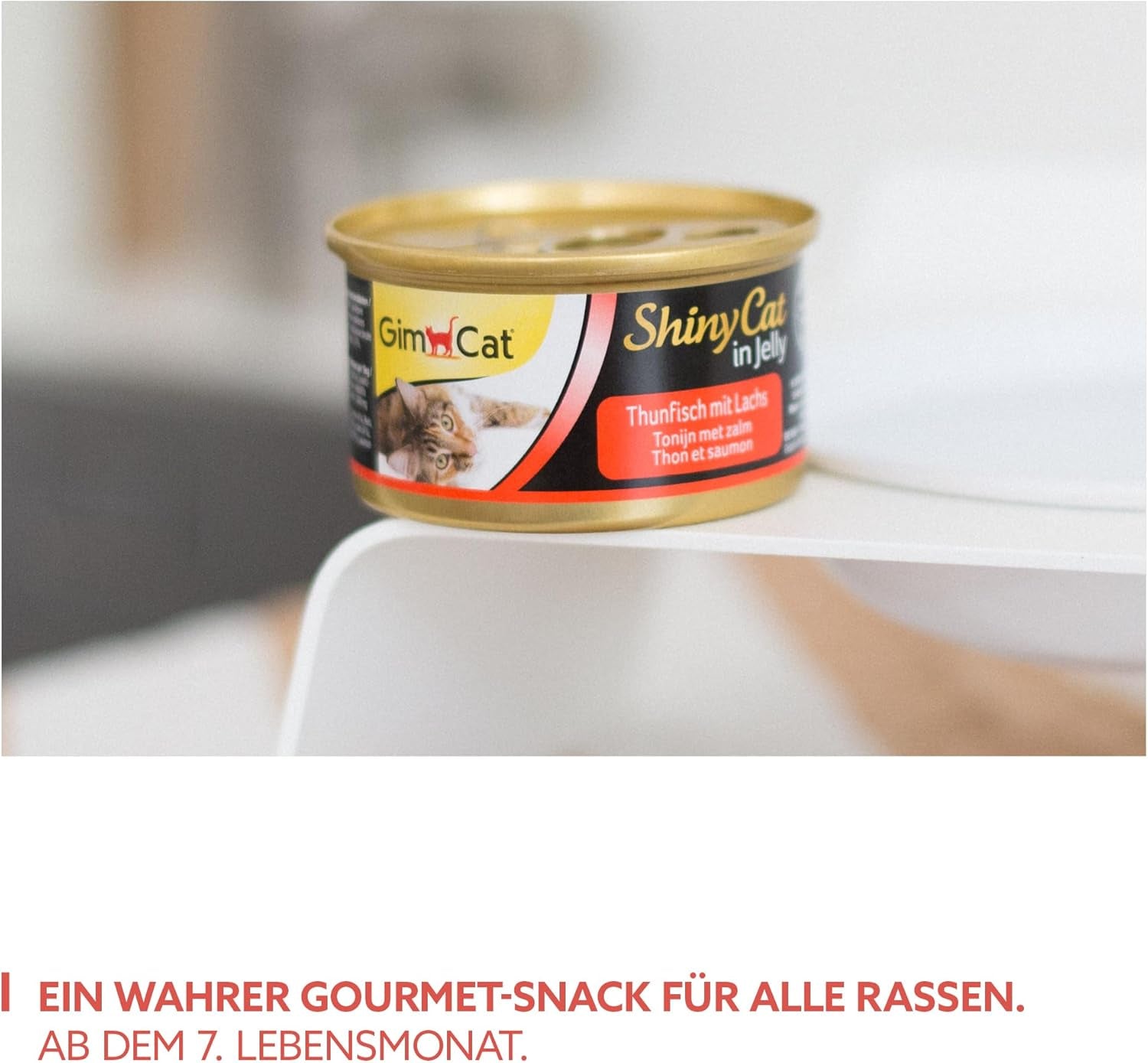 GimCat ShinyCat in Jelly Thunfisch mit Lachs - Nassfutter mit Fisch und Taurin for Katzen - 24 Dosen (24 x 70 g)