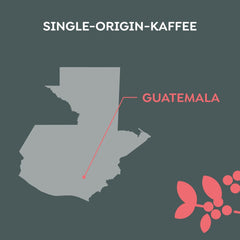 Melitta Manufaktur-Kaffee Guatemala Honey, Spezialitäten, 250g, Ganze Bohnen, Ungemahlen, Single Origin, Sanfte Trommelröstung, Geröstet in Deutschland, Stärke 3
