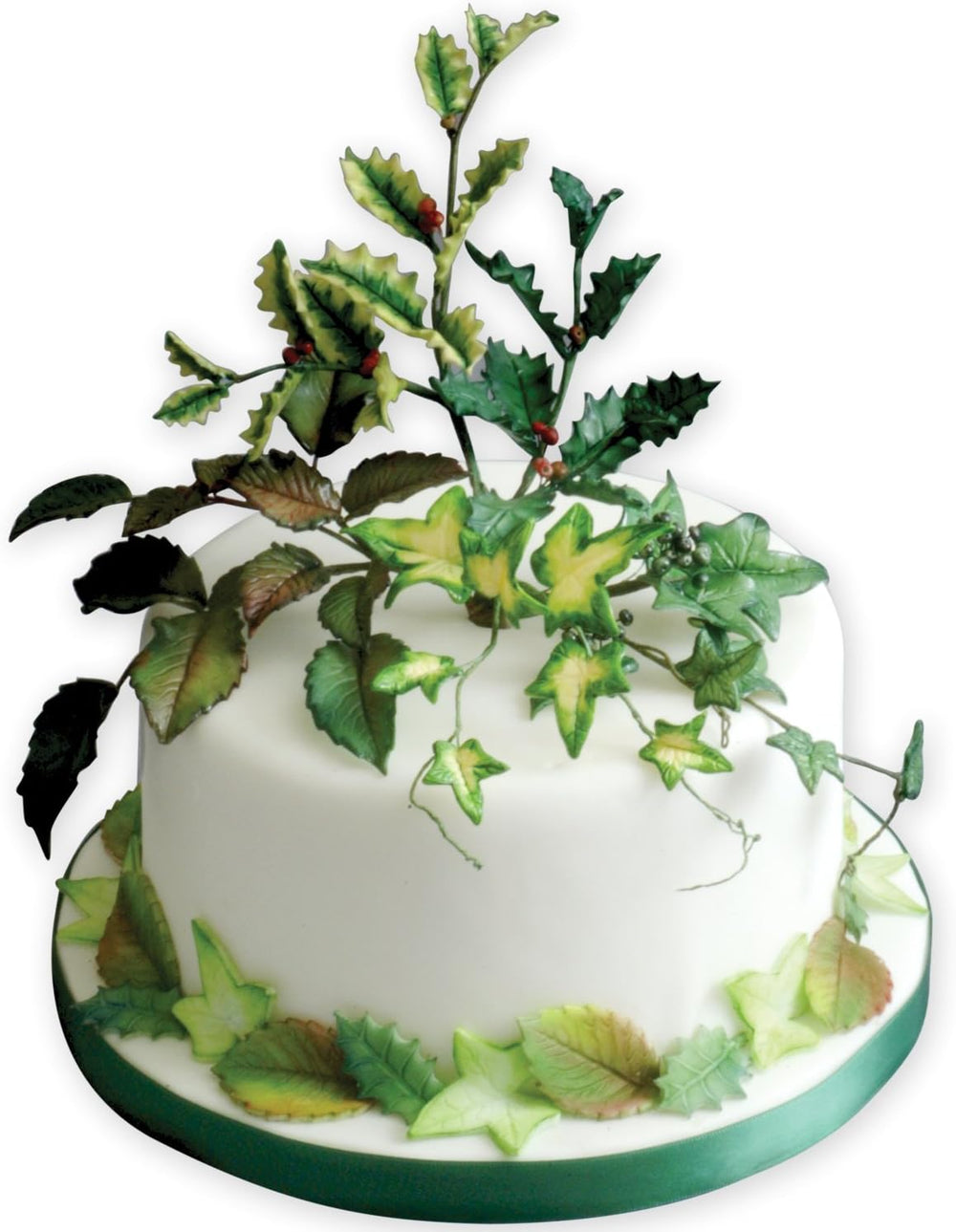 HL544 Matrices de gaufrage de feuilles Ilex nervurées, petites, moyennes et grandes, plastique, blanc, lot de 3