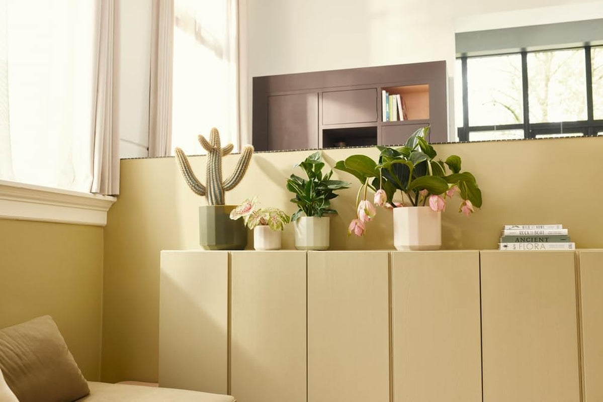 Pot rond elho Facet 23cm - pour l'intérieur - 100% plastique recyclé - Ø 22,7 x H 20,4 cm - Rose/Rose amande