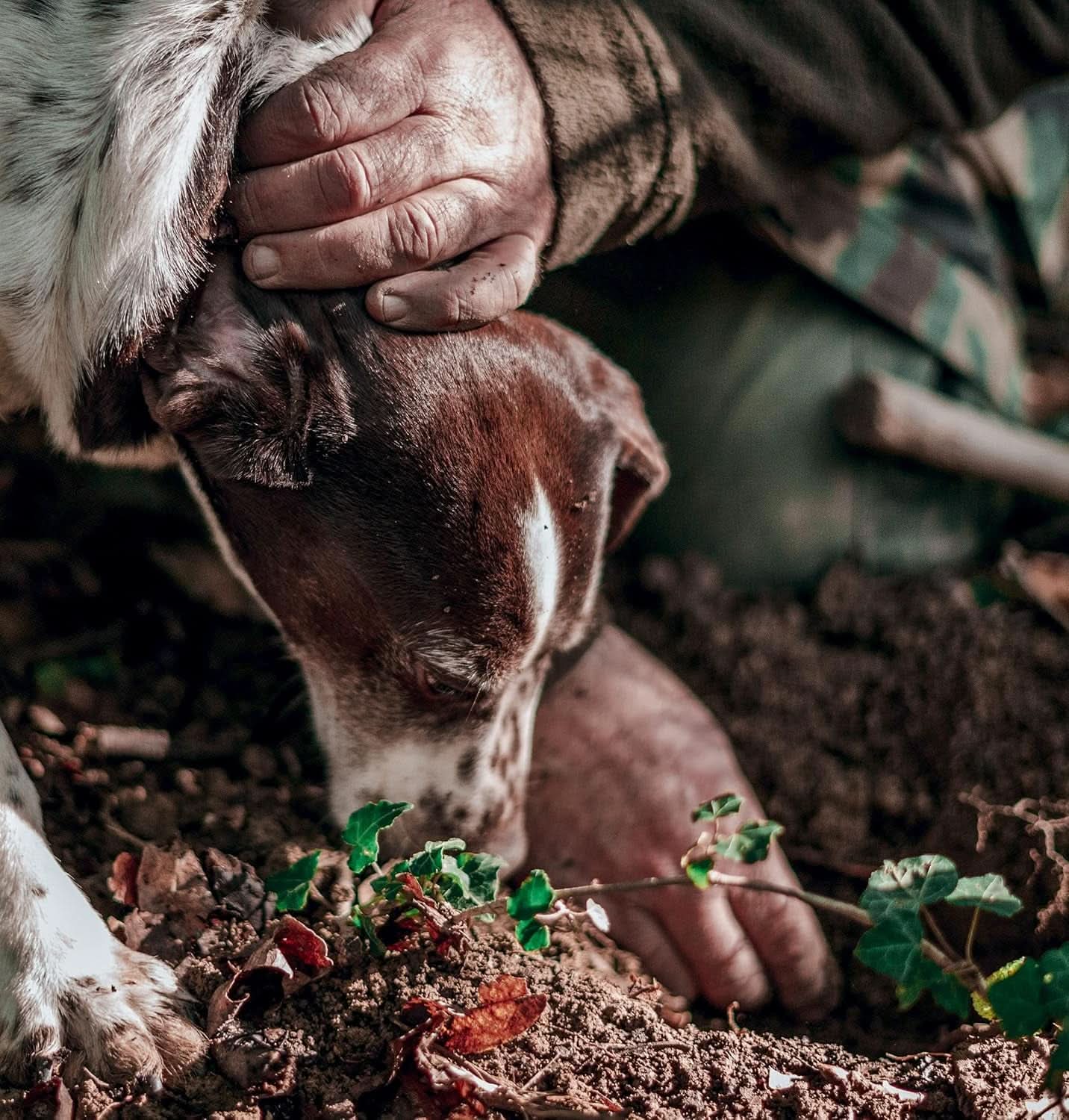 - Concentré d'arôme truffe noire 30 ml, usage professionnel Arome Naty Shop