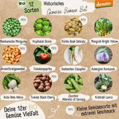 Ensemble de graines de légumes biologiques - 12 variétés de graines de légumes Demeter | Graines de légumes rares et familiales, toutes pollinisées librement | Variétés de légumes familiales pour balcons, plates-bandes surélevées, jardins et cadeaux | Plantes d'amour