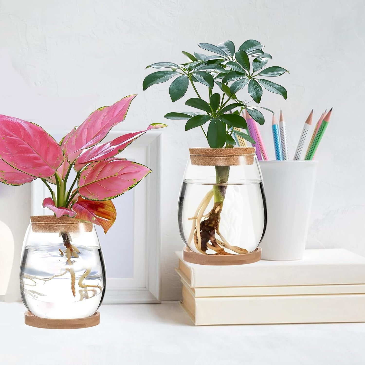 Station de culture de plantes hydroponiques 12x11 cm Vase de graines d'avocat Jardinière en verre Vase en verre hydroponique pour plantes aquatiques ou fleurs Décor de table de bureau 2 pièces