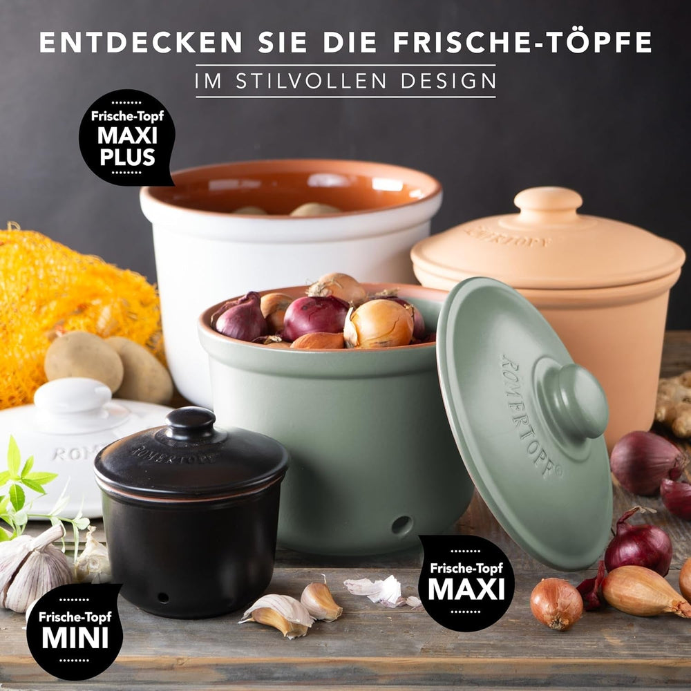 Römertopf Fresh Pot MINI 0,6 litres - Pot à ail en céramique - L'argile respirante garde les légumes frais plus longtemps - Circulation d'air idéale - Boîtes de conservation blanches Naty Shop