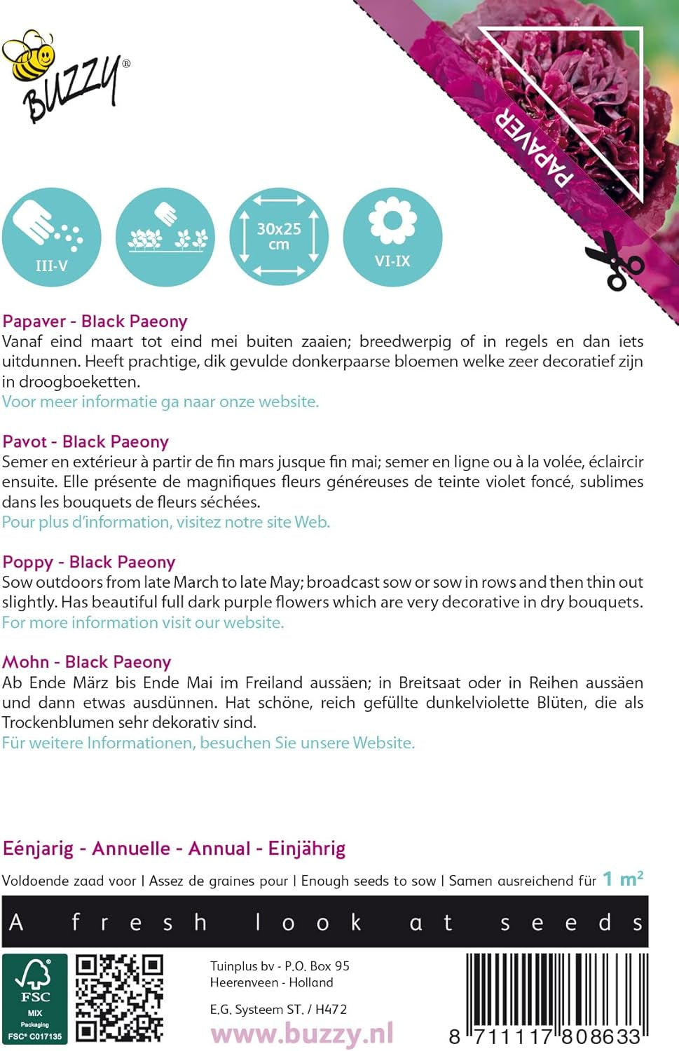Fleurs de coquelicot Buzzy, pivoine de pavot noir