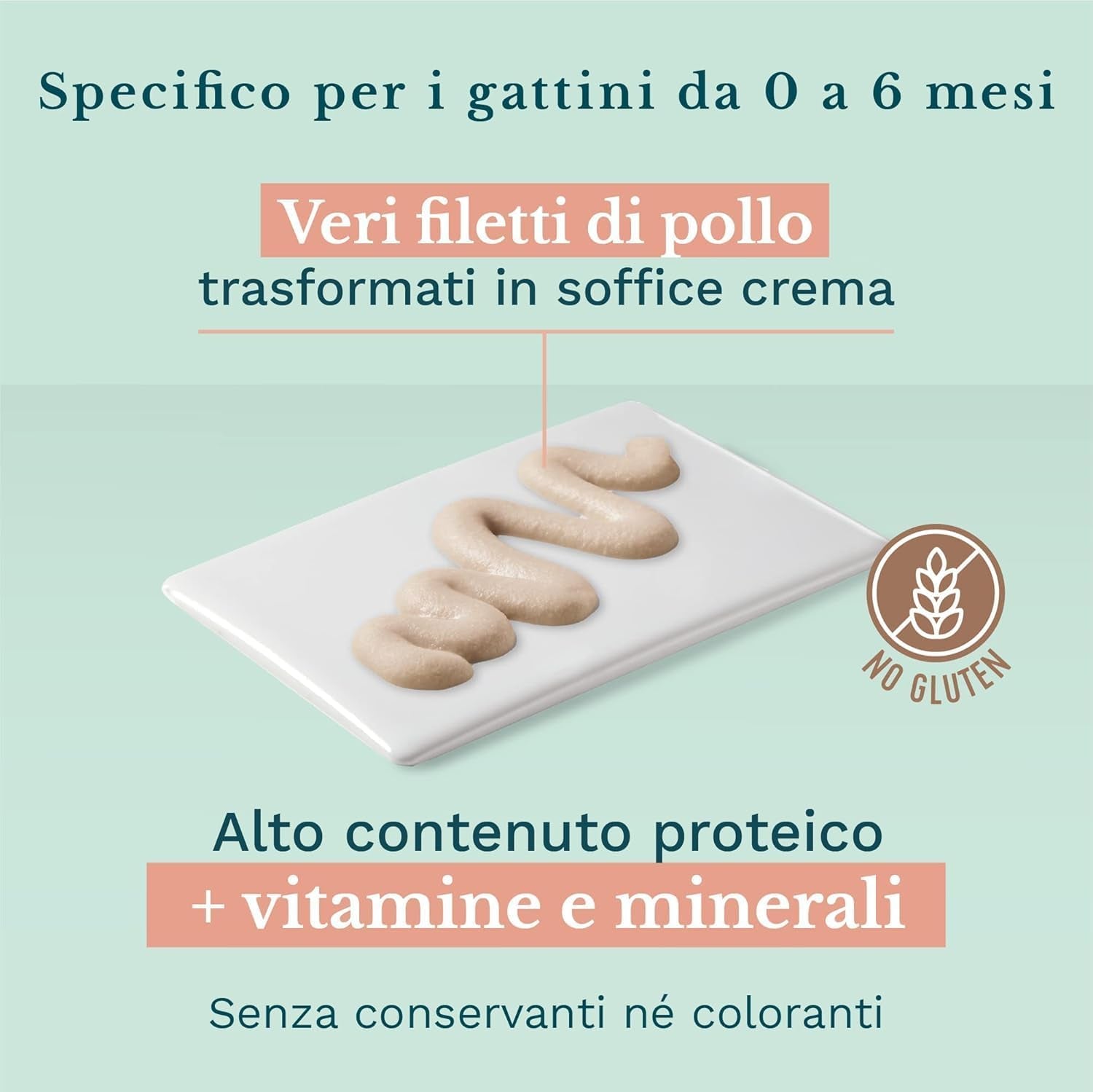 Nourriture humide pour petits chats à la crème de poulet et au poulet - Nourriture humide pour petits chats - Nourriture humide pour chats à la crème de poulet, sans céréales, riche en protéines, vitamines et minéraux (20 sachets x 150 g)