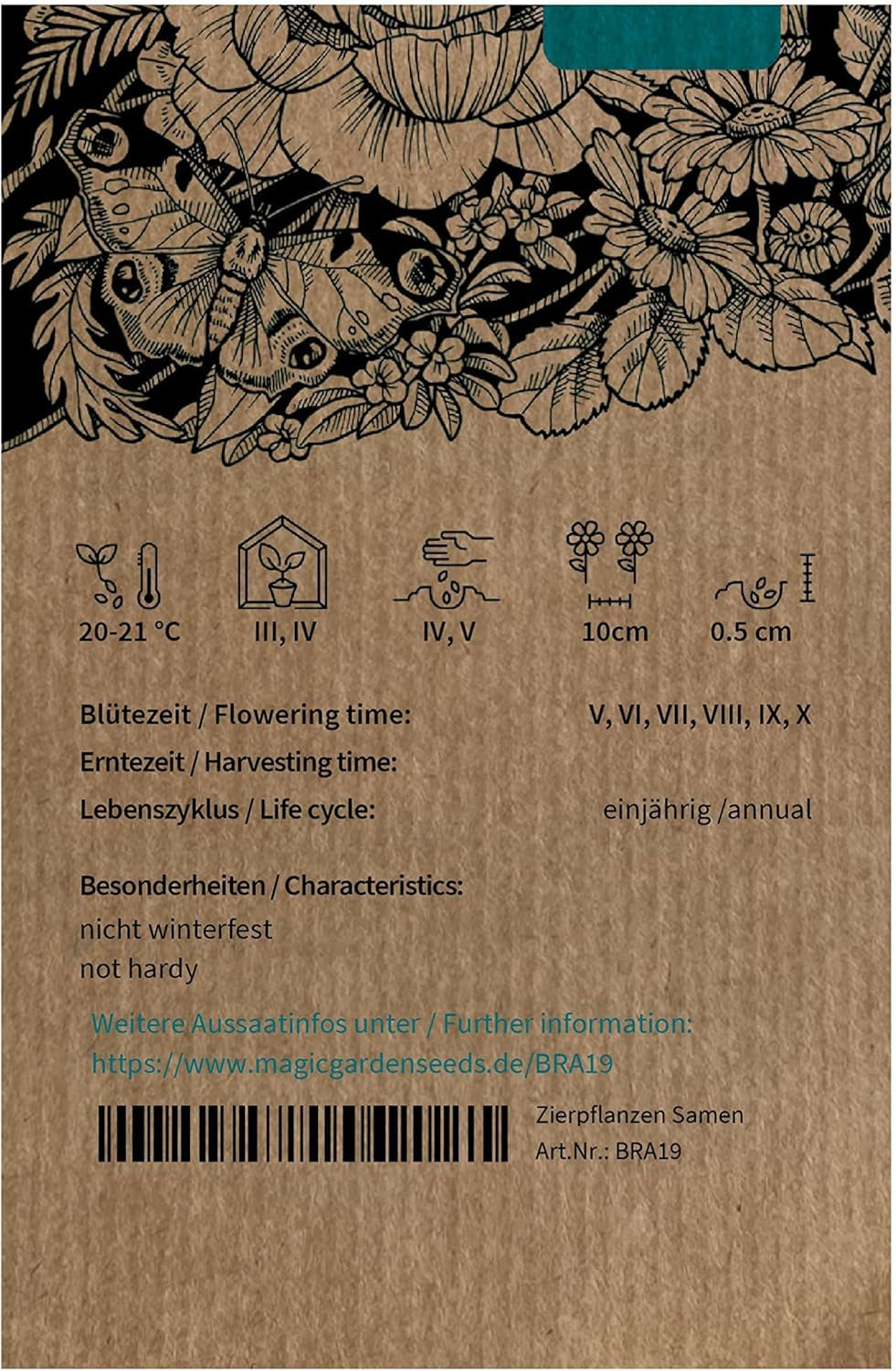 Marguerite bleue (Brachyscome iberidifolia) env. 500 graines de fleur de balcon annuelle, plante en pot à longue floraison, fleur d'été