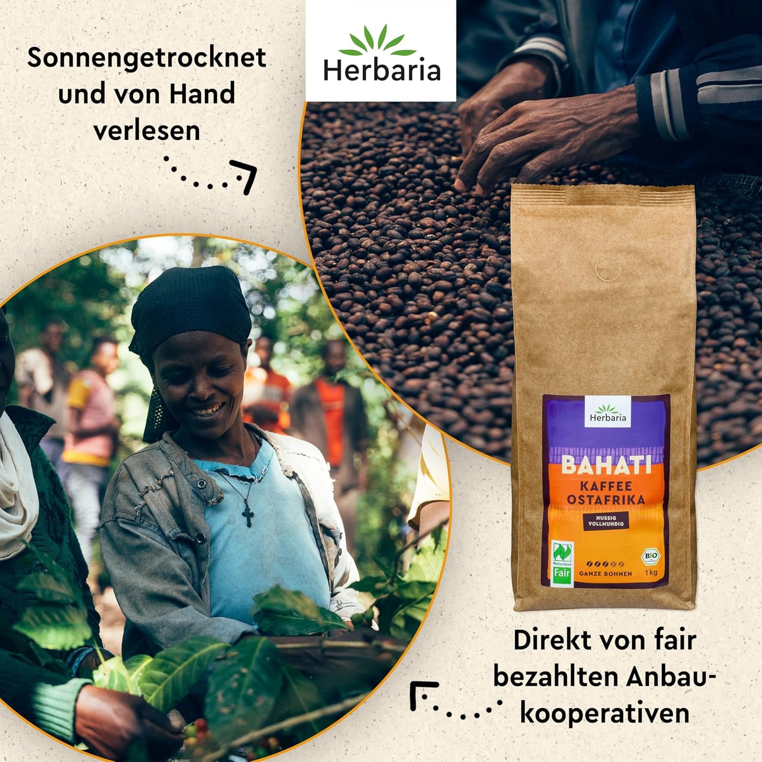 Herbiers BAHATI | BIO Café Ganze Bohnen | Naturland Fair certifié en Afrique du Sud | ausgefunge Röstaromen mit Noten von gerösteten Nüssen & Schokolade | Machines à café pour machines à café | 1kg