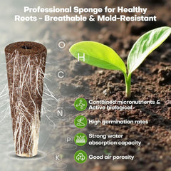 Ensemble de capsules de graines pour système de culture hydroponique de jardinage intérieur, 40 pièces, régulier