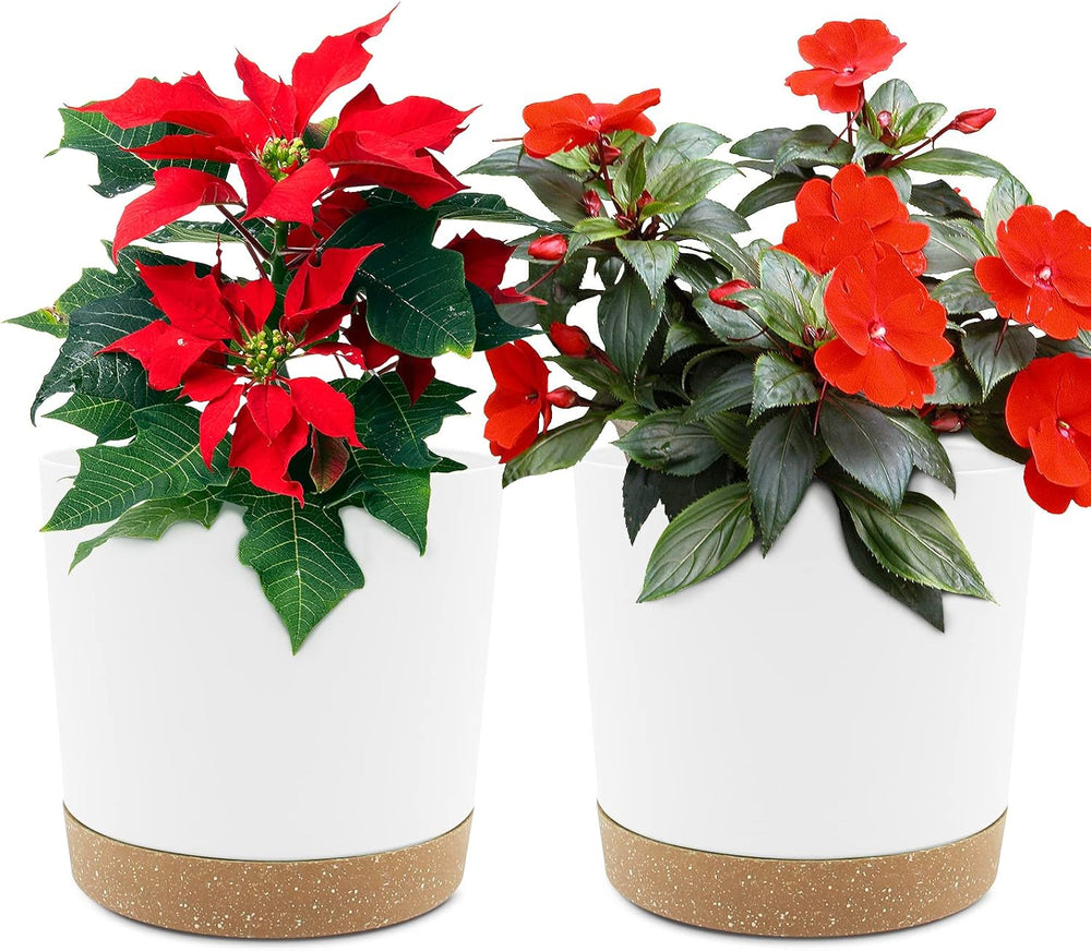 Lot de 2 pots de fleurs de 12,7 cm, pots de fleurs d'intérieur avec trous de drainage et base amovible, soucoupes décoratives modernes pour jardinières d'extérieur (blanc 12,7 cm)