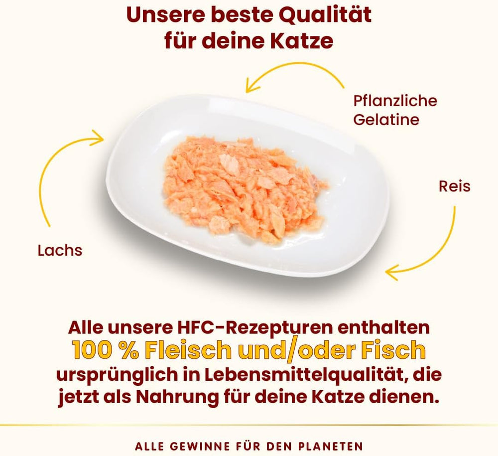 Almo Nature HFC Jelly - Nassfutter für ausgewachsene Katzen - Lachs - Qualité humaine, sans gluten et monoprotéine - 6 x 70 g