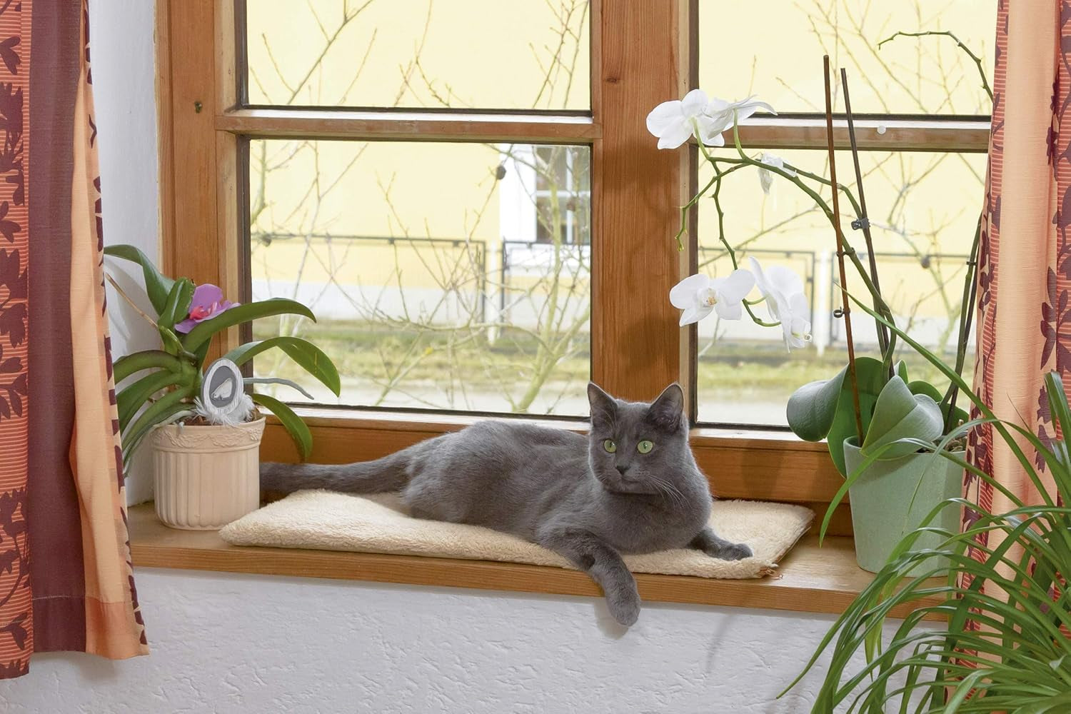 Couvertures et meubles, Animaux, Chats, Lits pour chats, Tapis à gratter, Chats - lits, matelas