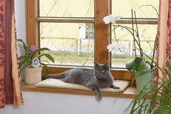 Couvertures et meubles, Animaux, Chats, Lits pour chats, Tapis à gratter, Chats - lits, matelas